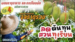 ชาวสวนฝึกหัด | Ep.4 ลดต้นทุนทำสวนทุเรียน ลงทุนน้อยกำไรมาก ทดสอบประสิทธิภาพจุลธาตุรวม อาหารพืช