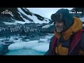 How Penguins Outswim a Deadly Killer Seal | Secrets of the Penguins | National Geographic