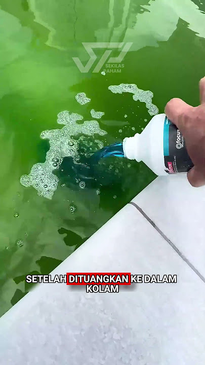 Membersihkan Kolam Renang Tanpa Menguras! #PerawatanKolam #HematAir #faktamenarik