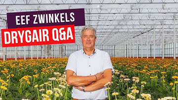 DryGair Q&A with Eef Zwinkels | GreenTech Amsterdam 2022