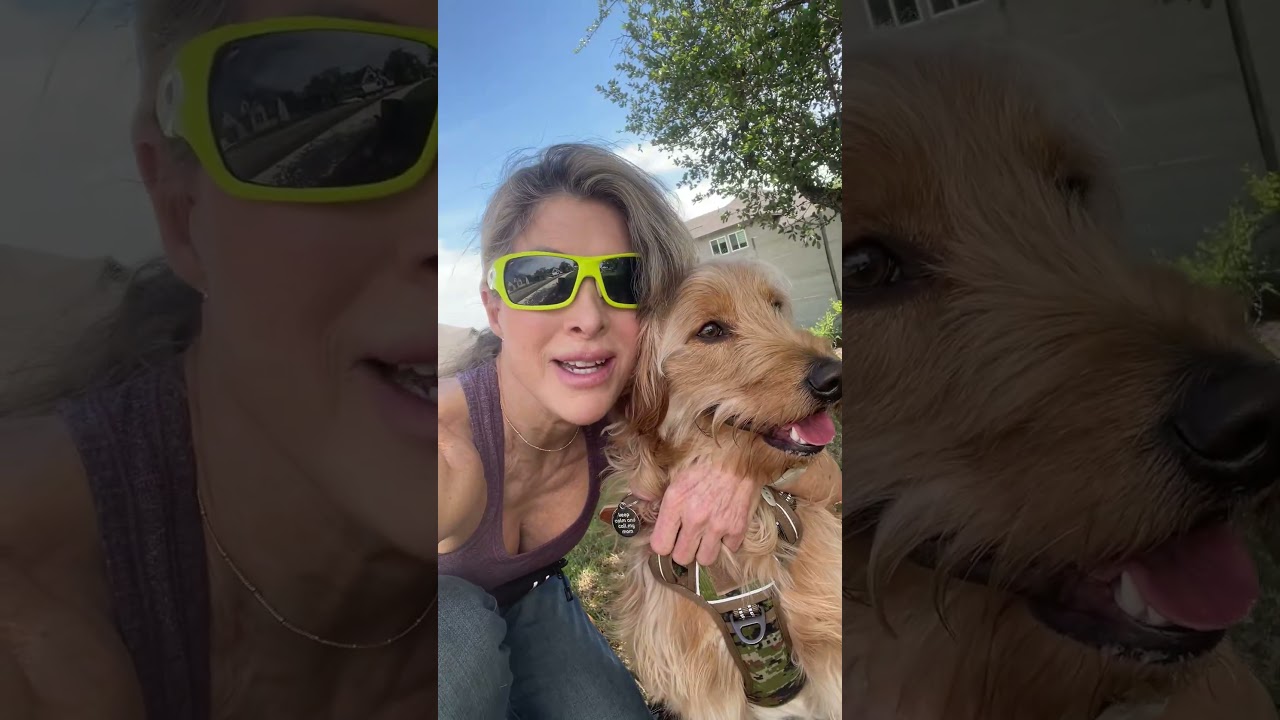 My Summer Flea Protection = Breeze PURESHIELD™ 🐾☀️