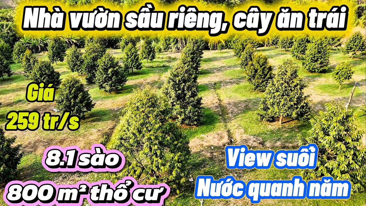 Nhà vườn Sầu Riêng, cây Ăn Trái View Suối. 800 thổ cư. S: 8,1 sào. Suối chảy quanh năm. Giá 295tr/s.