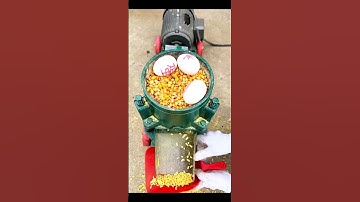 Feed pellet machine; cattle, sheep and chicken animal breeding; pellet machine factory.