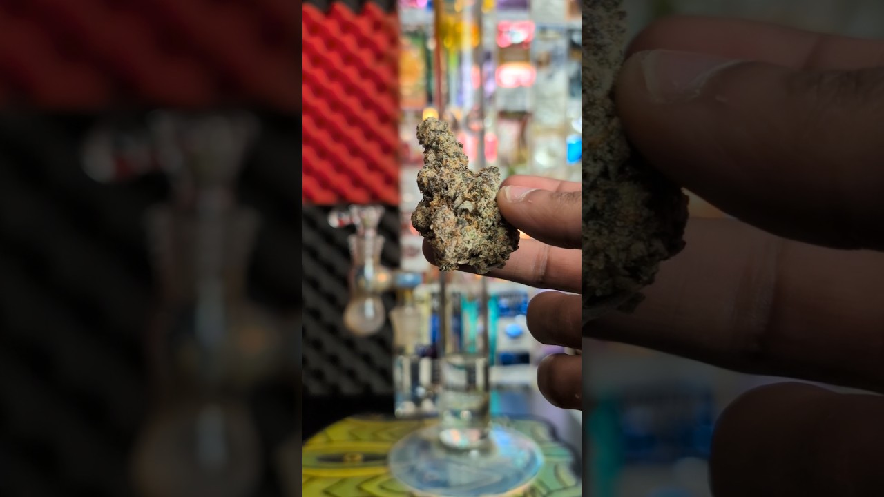 Лимонно-вишнёвое джелато Бонг Рип 🔥 