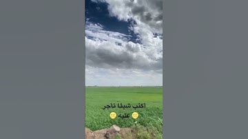 #القرآن_الكريم #آية_الكرسي #سورة_البقرة