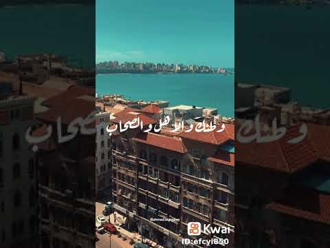حمزة نمرة داري يا قلبي الأسكندرية كل اللي معاك في الصورة غاب وطنك والأهل والصحاب حالات واتس
