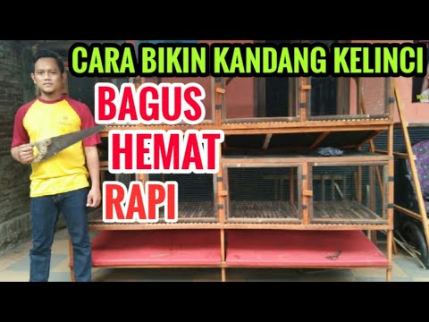 Video: Cara Membuat Kandang Kelinci Sendiri