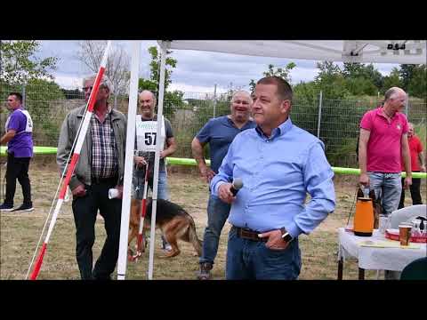 Video: U.K. Kæledyrsejer Vinder Klonet Hund I Konkurrence