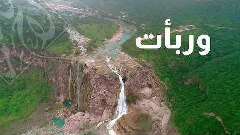 تلاوة منشاوية برواية أبي جعفر | #صلاح_الهاشم