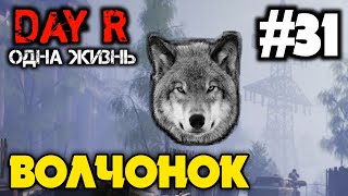 ВОЛЧОНОК | ОДНА ЖИЗНЬ В DAY R 1.654 | Evgen GoUp! ВОЛЧОНОК | ОДНА ЖИЗНЬ В DAY R 1.654 | Evgen GoUp!