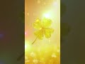 10秒見つめると願いが叶う🍀✨3回見て奇跡を起こそう🙏✨#幸運 #開運 #金運上昇 #金運アップ #本物