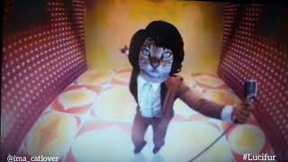 Lucifur's jib jab by CAT's Cats 4,927 views 6 years ago 1 minute, 8 seconds