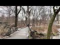 LIVE Walking New York City: Central Park, 5th Ave - Jan 27, 2021