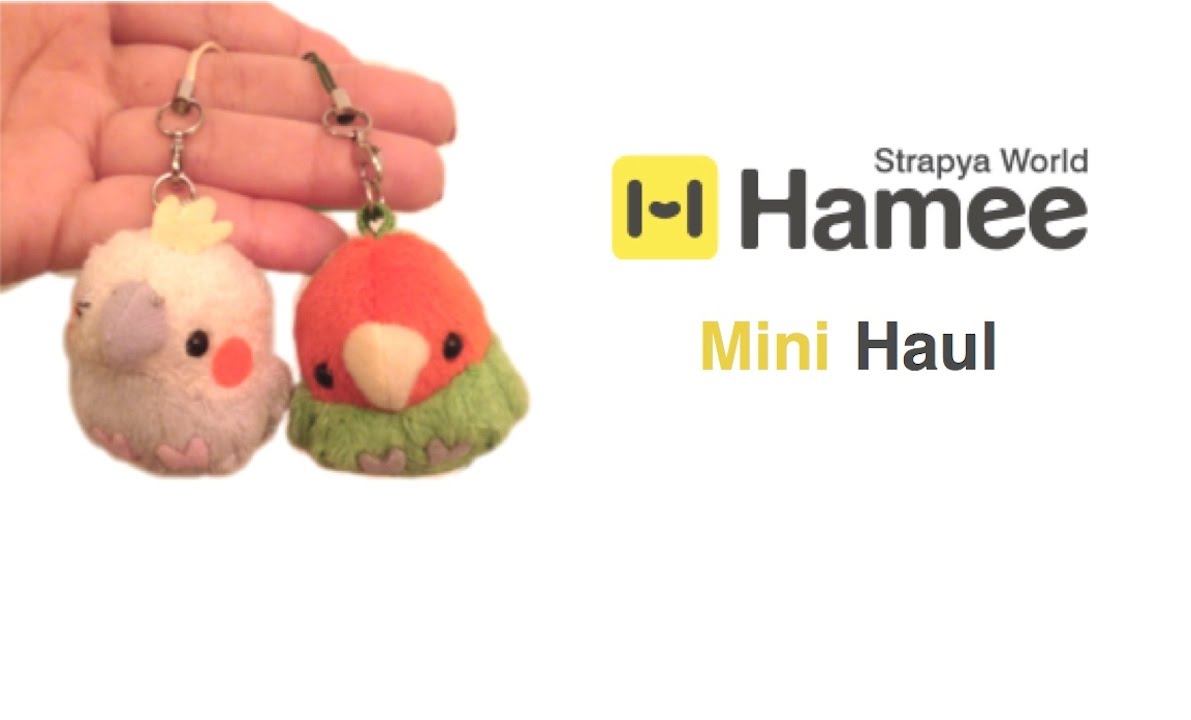 Strapya World Mini Haul!