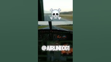 🗣️: “Planes Can’t Insult The Pilots” #aviation #avgeek #airplane #airbus #viral #trend #sehar