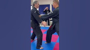 #edparkersr #americankenpo uses #motionscience to generate power #karate #martialarts