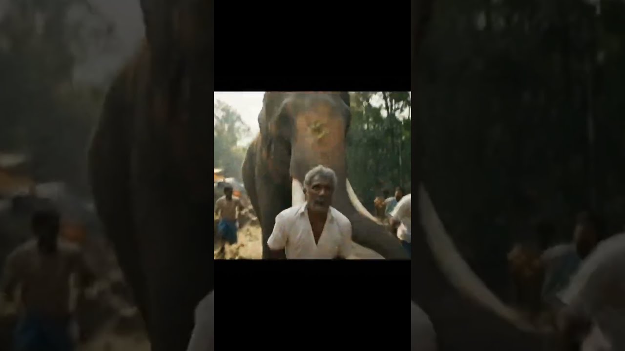 Man Attacked And Taken By Wild Elephant Shorts Elephantattack Trending Viralvideo