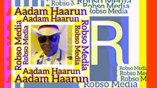 Aadam Haarun:Wallee Sossootee makiinaan Imaltoota fuutee jachuun wallifameefi jaalatamu By RM