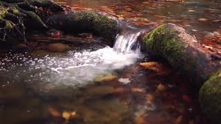 Rhythm of River water flow for Nature lovers | Relaxing Music for Stress Relief, Meditation, Sleep
