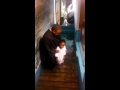 Kid Decides To Baptize Himself After Too Excited