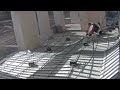 Ceiling collapses at University of Texas at Austin building