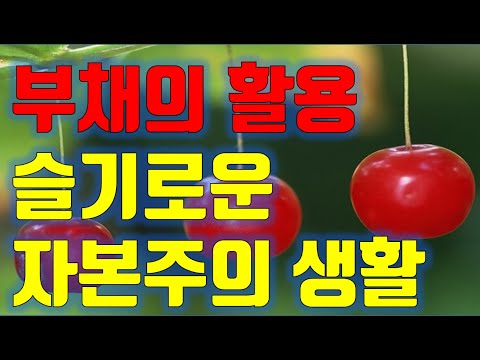 특강 부채의 활용, 슬기로운 <strong>자본주의</strong> <strong>생활</strong>