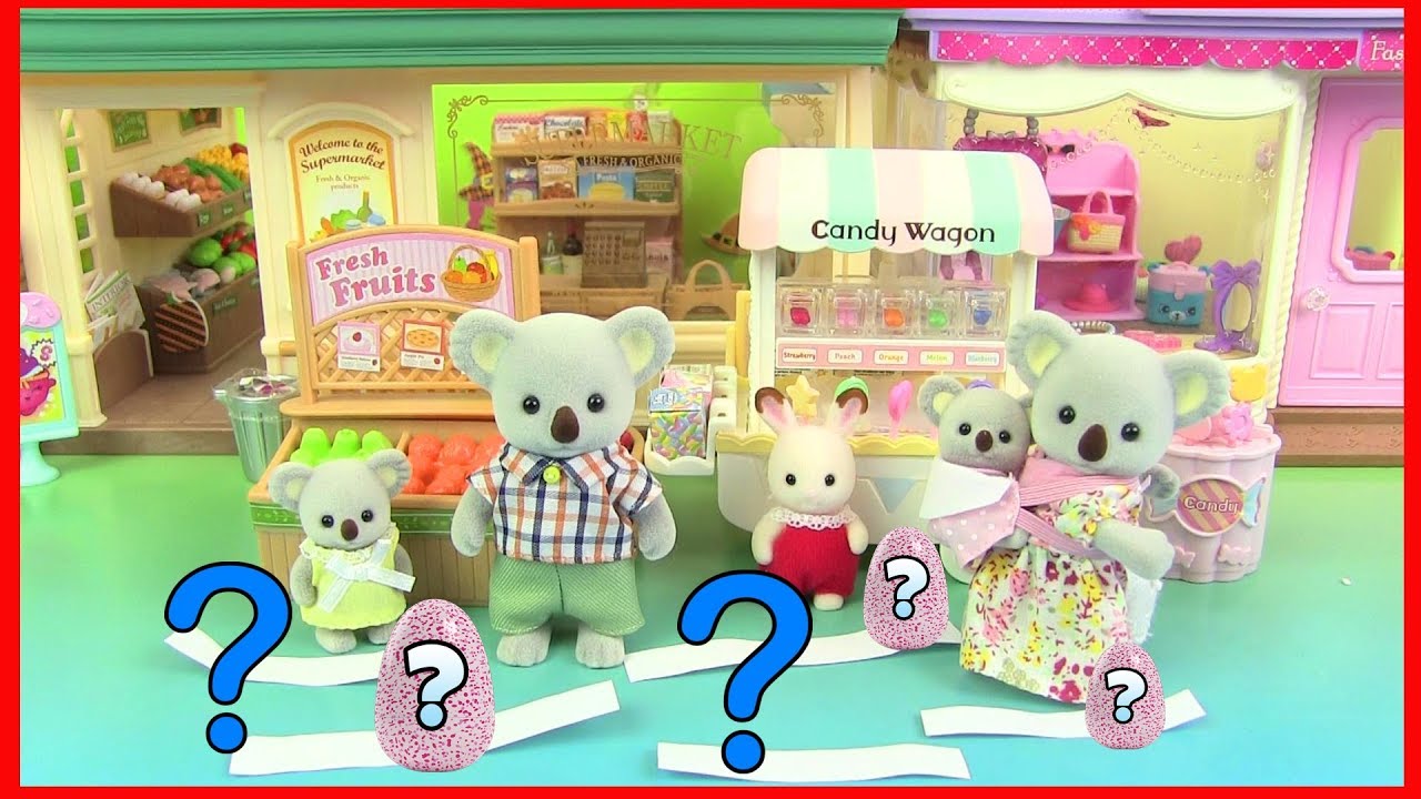 Розыгрыш Имён для Новой Семьи  Сильваниан Фэмилис 71 серия Kikityki