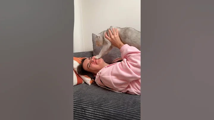 Help 😭 #cat #cats