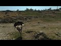 Avestruz en realidad virtual | Zoológico de Guadalajara | Episodio #41