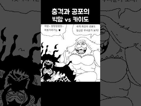 빅맘 Vs 카이도 