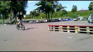 Early Summer - Mini Edit