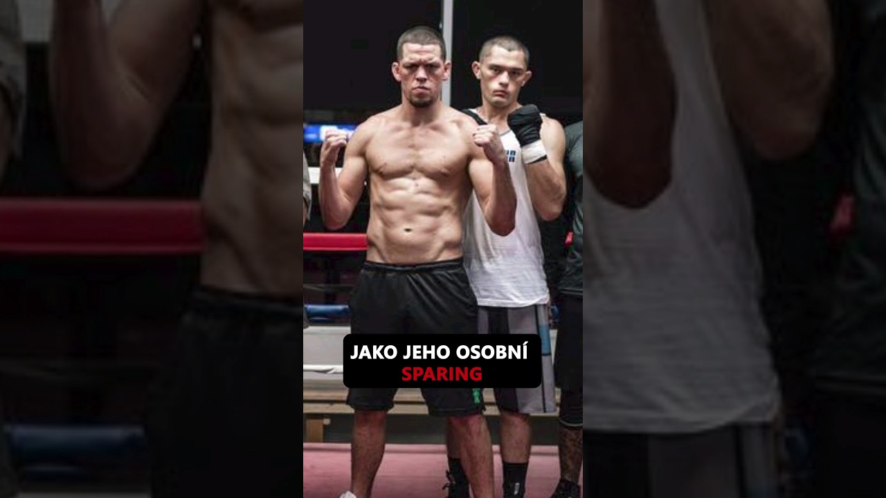 Hulení a jiu-jitsu/mma | Škola Krona Gracie | 