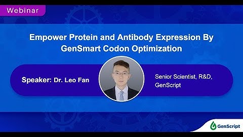 Empower Protein and Antibody Expression By GenSmart Codon Optimization