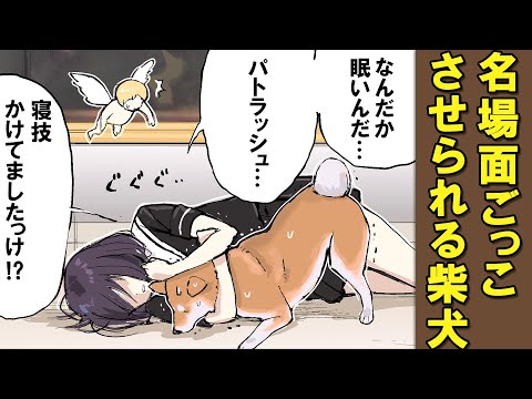 フランダースの犬ごっこに強制参加の柴犬【アニメ】【漫画】