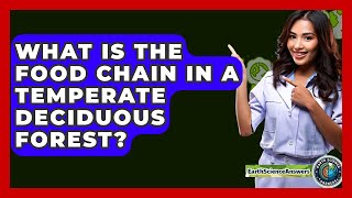 What Is The Food Chain In A Temperate Deciduous Forest? - Earth Science Answers