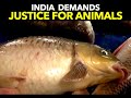Animal Liberation Program Mumbai/Pune  April 19