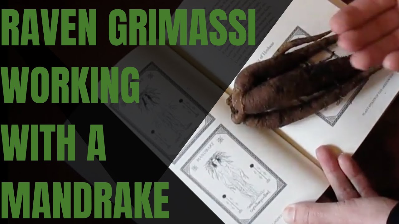 Raven Grimassi Charging A Mandrake Youtube
