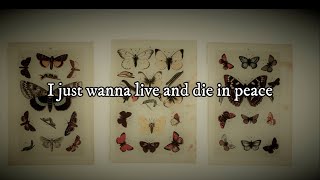 Architects - Dead butterflies | Lyrics | Sub español
