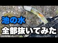 実家の池の水を全部抜いたら父親が悲しい思いをしてしまいました…。|田舎の自然の音もお楽しみ下さい。