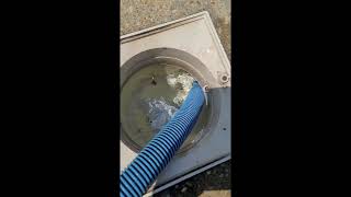 ELODEA Vacuum Plate Review