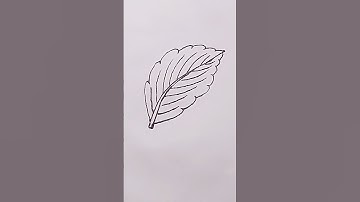 Leaf drawing easy step by step/#newlessonofdrawing /  #youtubeshorts /#short
