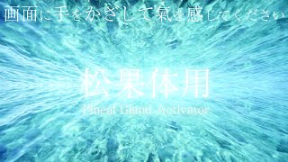 🔯超強力🔯聴き始めた瞬間に松果体が活性化する波動の神の島の波の音【パワースポット自然音 瞑想 作業 勉強 集中 リラックス チャクラ 覚醒】Pineal Gland Activator sounds