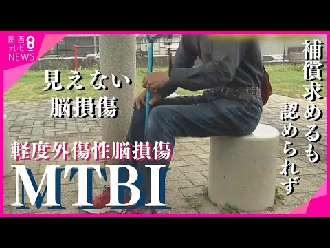 外傷性脳損傷で愛馬を守る！【獣医師監修】症状と緊急時の正しい対応