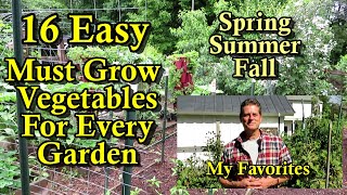 16 Must Grow Garden Vegetables for New Gardeners: Easy to Grow Spring, Summer & Fall Crops