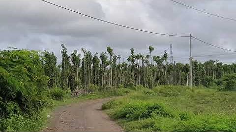 Bán đất sào vườn trái cây view suối đẹp thơ mộng bà rịa  /400 triệu 1000m2 lh 0969879377