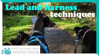 Lead and harness techniques