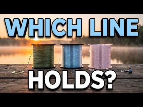 Braid vs Mono vs Fluoro: Which Line Actually Holds?