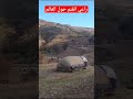 استمتع بالطبيعة في المغرب البرانس تازة جبالة   