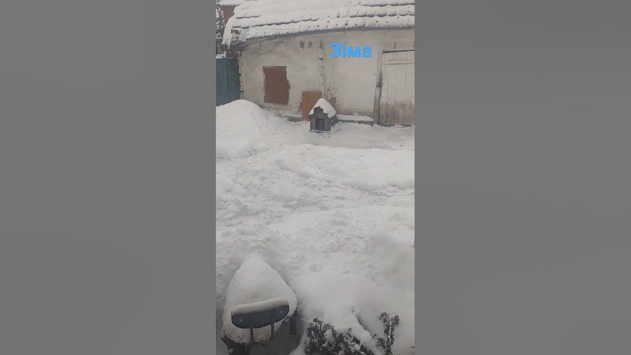 зіма - YouTube