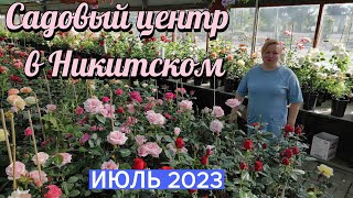Розы в июле 2023г.